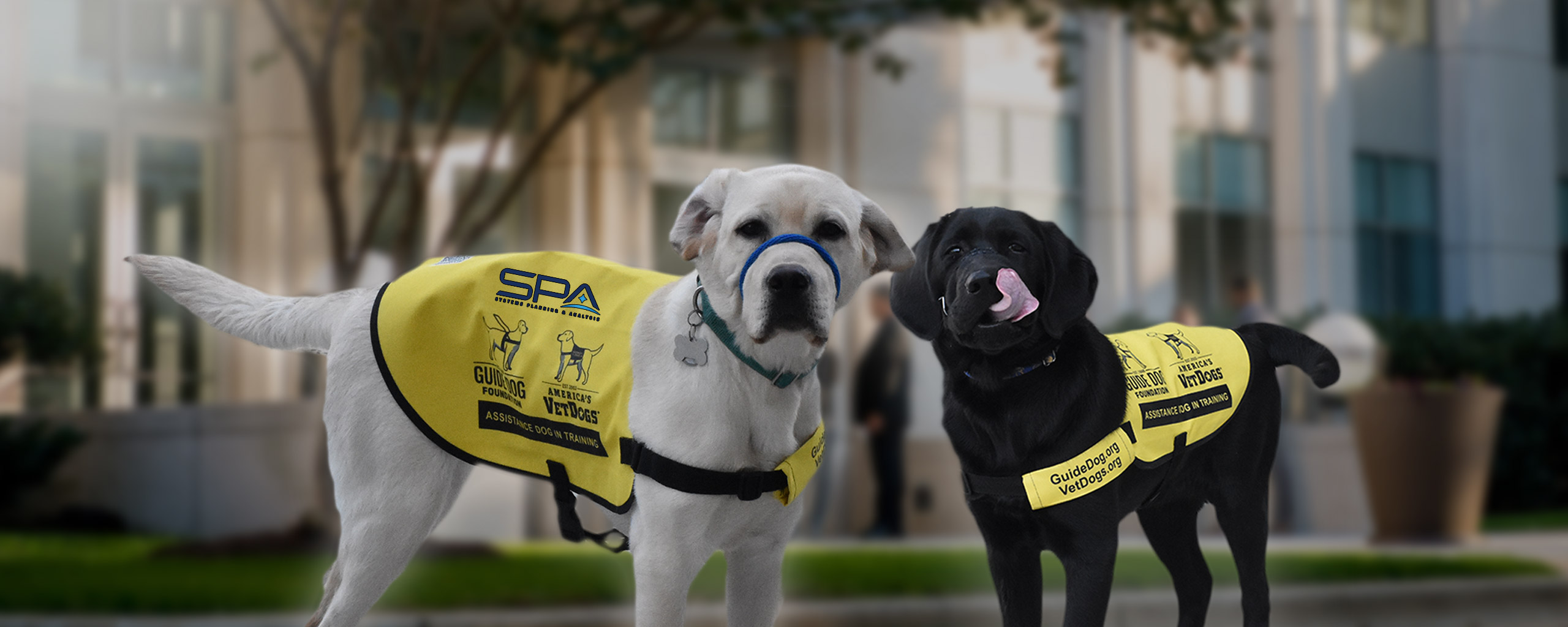 Association for Corporate Growth Honors SPA for “Puppy Fleet” Community Service