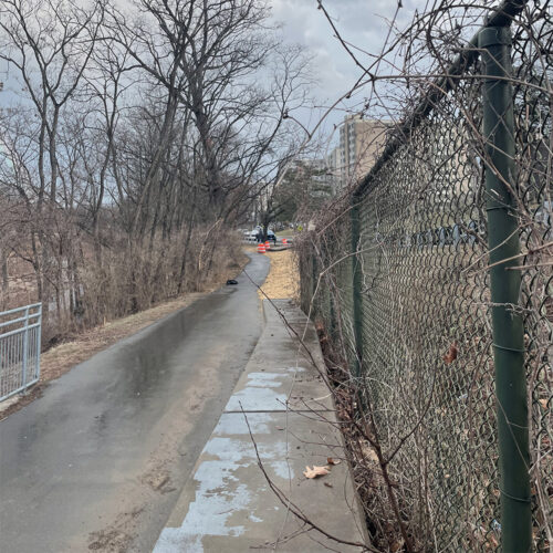 SPA volunteers from the GoGreen Employee Resource Group work to clean up during an Adopt-a-Block event